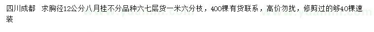 求購胸徑12公分八月桂