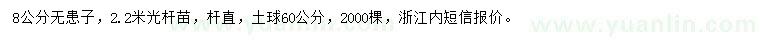求購8公分無(wú)患子