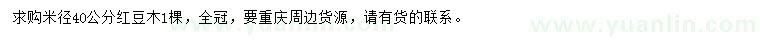 求購米徑40公分紅豆木