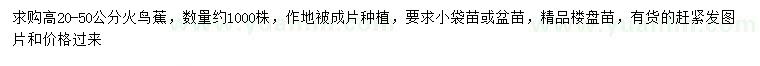 求購(gòu)高20-50公分火鳥蕉