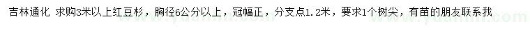 求購胸徑6公分以上紅豆杉