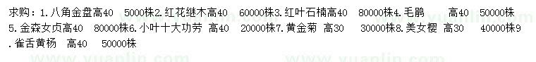 求購(gòu)八角金盤(pán)、紅花繼木、紅葉石楠等