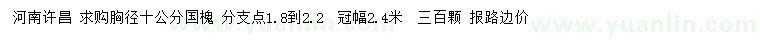 求購胸徑10公分國槐