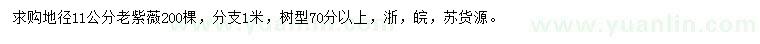 求購(gòu)地徑11公分老紫薇