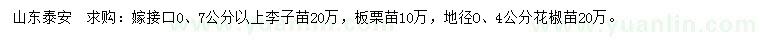 求購(gòu)李子苗、板栗苗、花椒苗