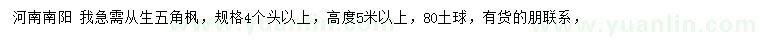 求購高5米以上從生五角楓