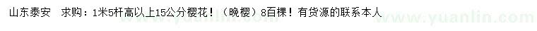 求購15公分櫻花