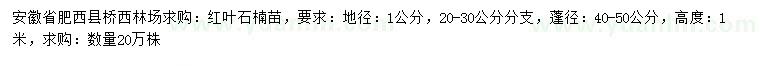 求購(gòu)地徑1公分紅葉石楠苗