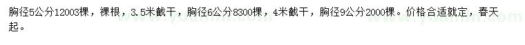 求購胸徑5、6、9公分新疆楊
