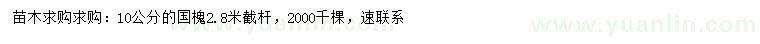 求購(gòu)10公分國(guó)槐