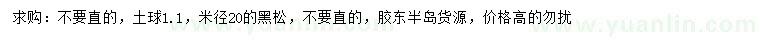 求購米徑20公分黑松