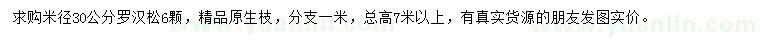 求購(gòu)米徑30公分羅漢松