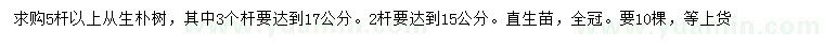 求購5桿以上從生樸樹