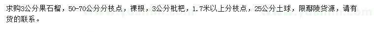求購3公分果石榴、枇杷