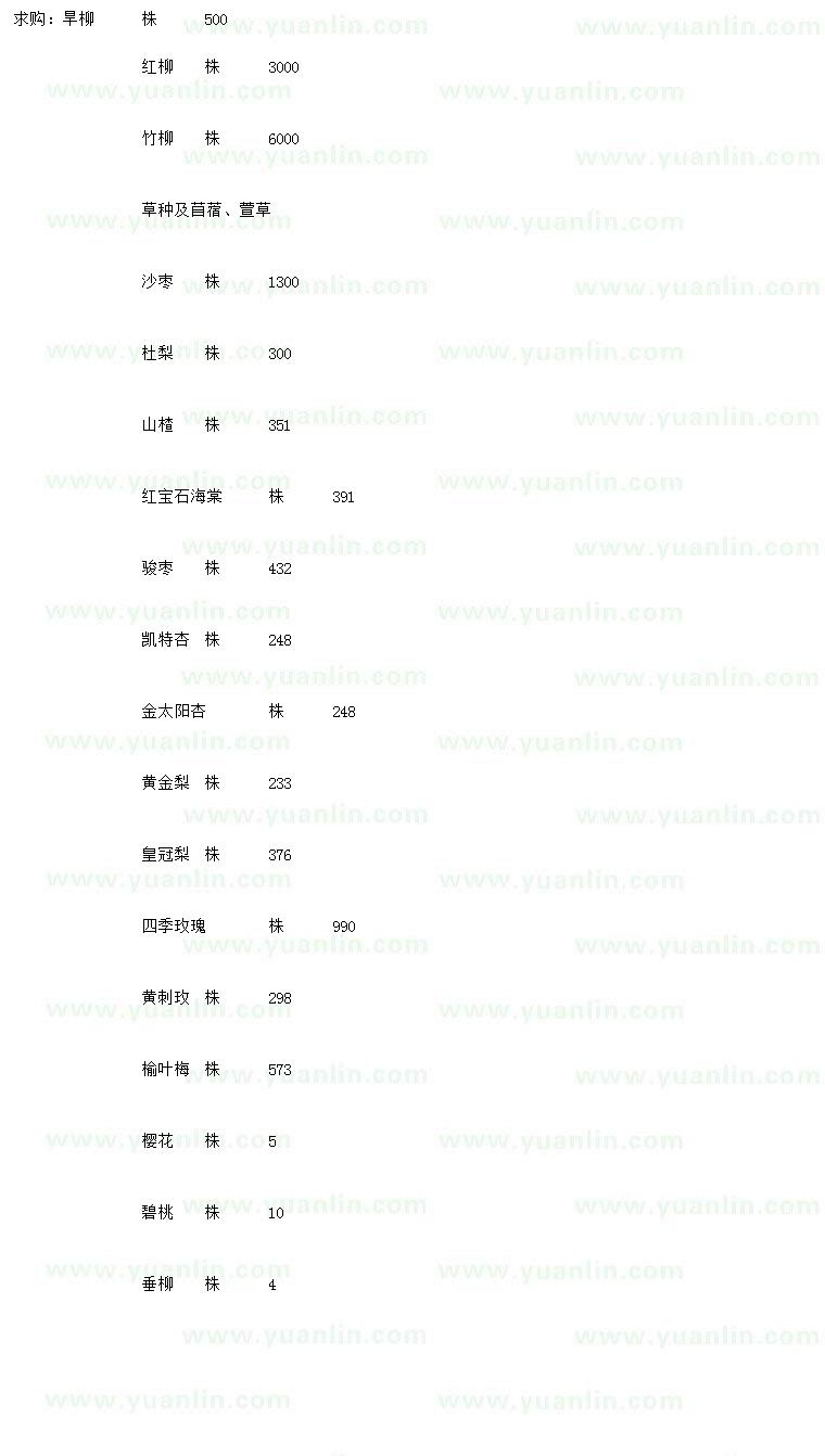 求購旱柳、紅柳、竹柳等