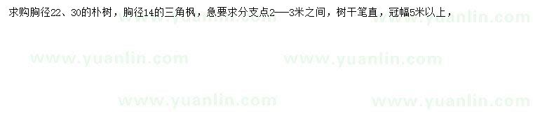 求購胸徑22、30公分樸樹、14公分三角楓