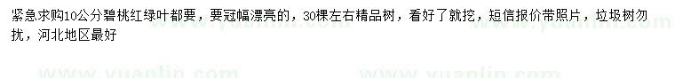 求購10公分碧桃