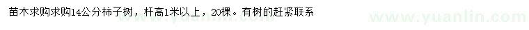 求購(gòu)14公分柿子樹