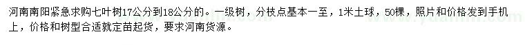 求購17、18公分七葉樹