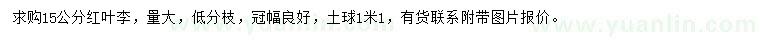 求購15公分紅葉李