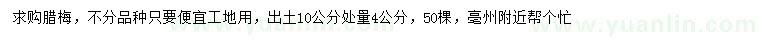 求購10公分處量4公分臘梅