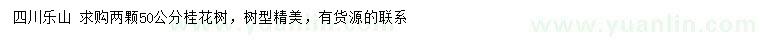 求購(gòu)50公分桂花樹(shù)