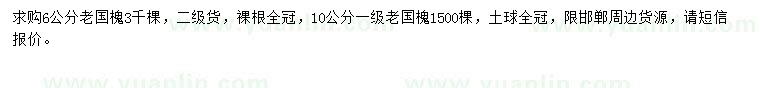 求購6、10公分老國槐