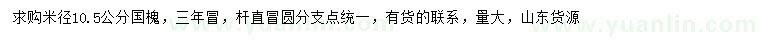 求購米徑10.5公分國槐