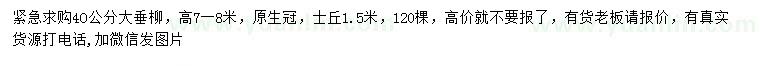 求購40公分大垂柳