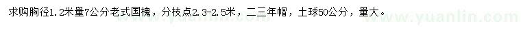 求購胸徑1.2米量7公分老式國槐