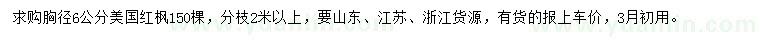 求購胸徑6公分美國紅楓