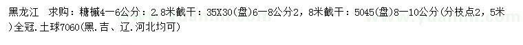 求購4-6、6-8、8-10公分糖槭