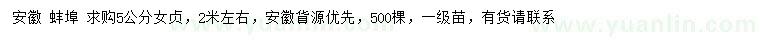 求購5公分大葉女貞