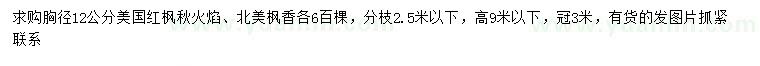 求購胸徑12公分美國紅楓、北美楓香
