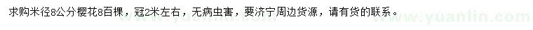求購米徑8公分櫻花