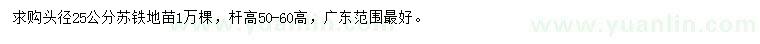 求購頭徑25公分蘇鐵