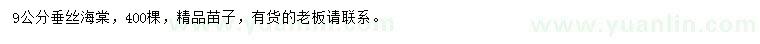 求購9公分垂絲海棠
