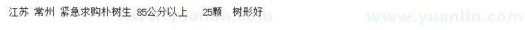 求購(gòu)85公分以上樸樹(shù)