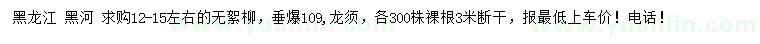求購無絮柳、垂爆109、龍須