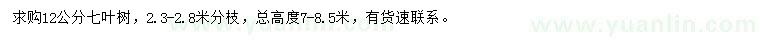 求購12公分七葉樹
