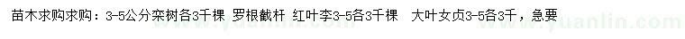求購欒樹、紅葉李、大葉女貞