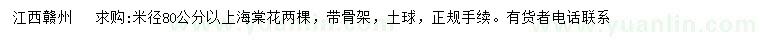 求購(gòu)米徑80公分以上海棠花
