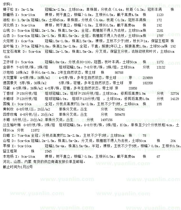 求購(gòu)樟子松、新疆楊、油松等