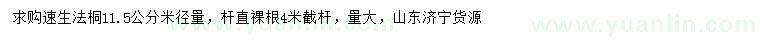 求購米徑量11.5公分速生法桐