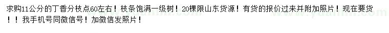 求購(gòu)11公分丁香