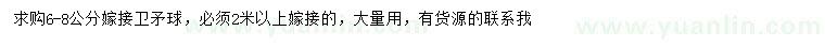 求購6-8公分嫁接衛(wèi)矛球