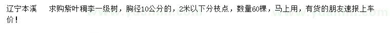 求購胸徑10公分紫葉稠李