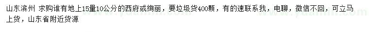 求購15量10公分西府、絢麗海棠