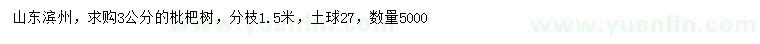 求購3公分枇杷樹