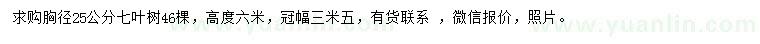 求購胸徑25公分七葉樹
